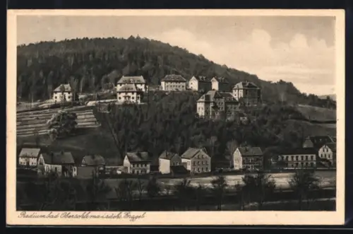 AK Oberschlema /Sa., Totalansicht mit Flusspartie