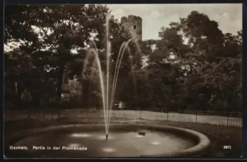 AK Oschatz, Partie in der Promenade, Fontäne, Turm