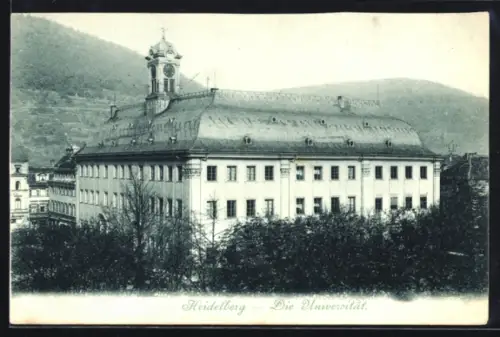 AK Heidelberg, Die Universität, Ansicht aus der Vogelschau