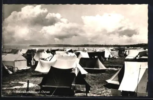 AK Sehlendorferstrand /Ostsee, Zeltplatz mit Wasserblick