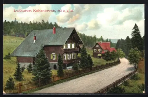 AK Kaltenbronn, Häuser u. Strasse am Waldrand
