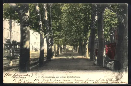 AK Wiesbaden, Promenadenweg der unteren Wilhelmstrasse, Strassenbahn