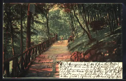 AK Wiesbaden, Philosophenweg im Wald