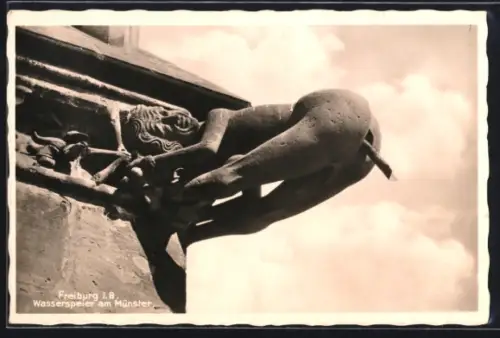 AK Freiburg i. B., Wasserspeier am Münster