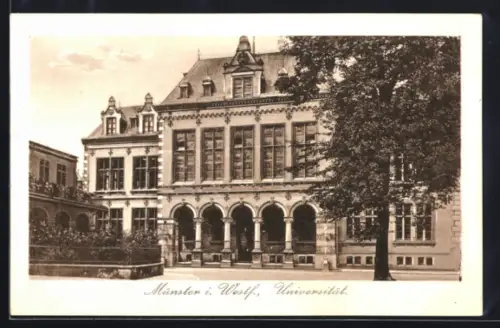 AK Münster i. Westf., Universität