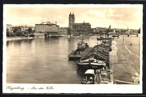 AK Magdeburg, Elbepartie