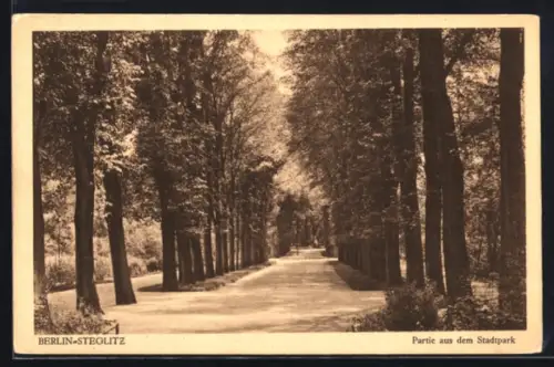 AK Berlin-Steglitz, Partie aus dem Stadtpark