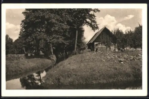AK Burg /Spreewald, Kolonie