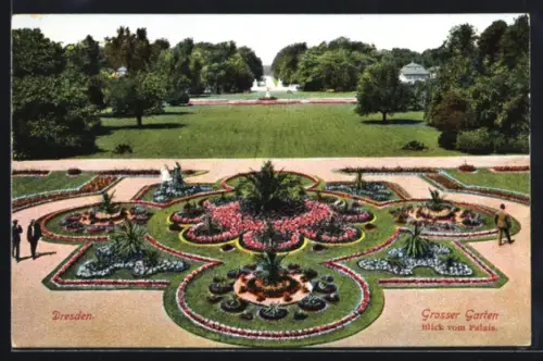 AK Dresden, Kgl. Grosser Garten mit Blumen und Palmen
