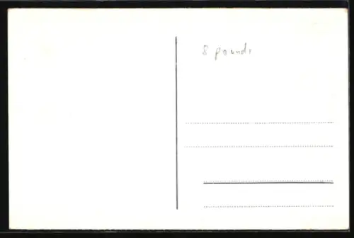 AK Rendsburg, Hochbrücke