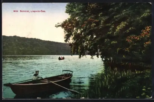 AK Bernau, Ruderboote auf dem Liepnitz-See und Uferlandschaft