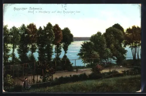 AK Neuruppin /Ruppiner Schweiz, Blick vom Weinberg auf den Ruppiner See