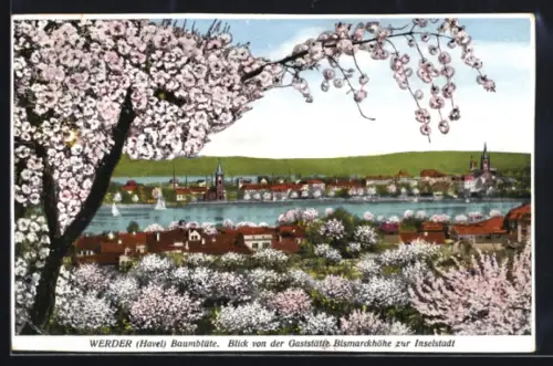 AK Werder /Havel, Baumblüte, Blick von der Gaststätte Bismarckhöhe zur Inselstadt
