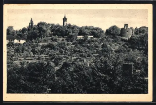 AK Brandenburg /Havel, Marienkirche, Bismarckwarte, Krieger-Denkmal