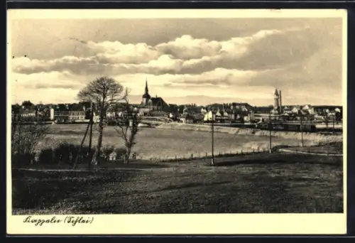 AK Kappeln /Schlei, Ortsansicht mit Kirche und Fluss