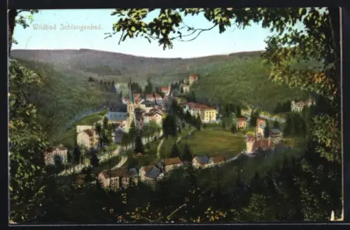 AK Wildbad Schlangenbad, Gesamtansicht aus der Vogelschau