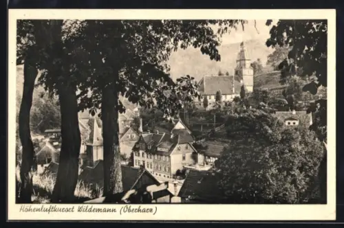 AK Wildemann /Oberharz, Ortsansicht aus der Vogelschau