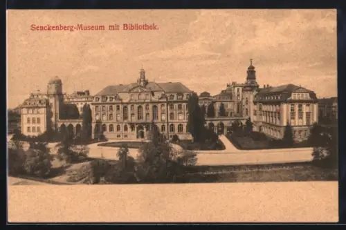 AK Frankfurt-Westend, Senckenberg-Museum mit Bibliothek