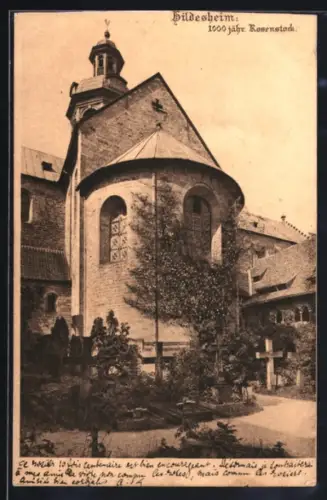 AK Hildesheim, 1000-jähriger Rosenstock