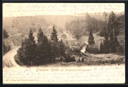 AK Klotzsche-Königswald, Partie in der Dresdner Heide