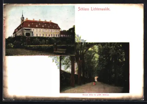 AK Lichtenwalde, Schloss Lichtenwalde, Grosse Allee im gräfl. Schloss