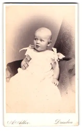 Fotografie A. Adler, Dresden, Victoriastrasse 21, Porträt eines Kleinkinds