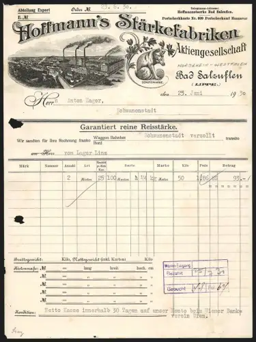 Rechnung Bad Salzuflen a. Lippe 1930, Hoffmann`s Stärkefabriken A. G., Werksgelände und Katze