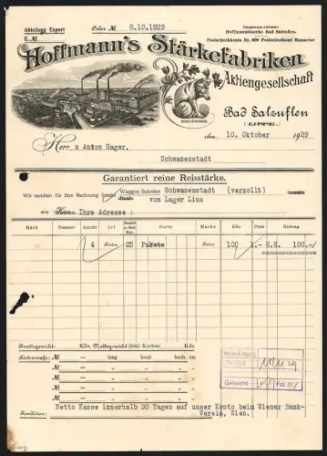 Rechnung Bad Salzuflen a. Lippe 1929, Hoffmann`s Stärkefabriken A. G., Katze und Werksgelände