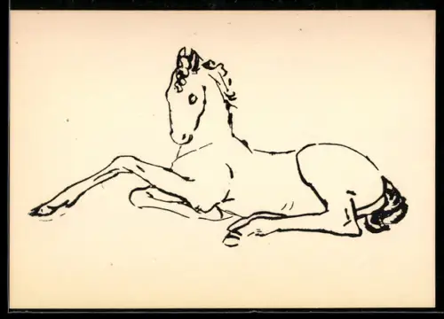 Künstler-AK sign. Renée Sintenis: Liegendes Fohlen