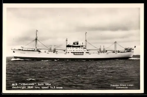 AK Schwedisches Frachtschiff MS Vidaland in Seitenansicht, Baujahr 1954, Handelsschiff