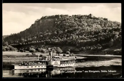 AK Königstein /Sächs. Schweiz, Raddampfer Junger Pionier auf der Elbe