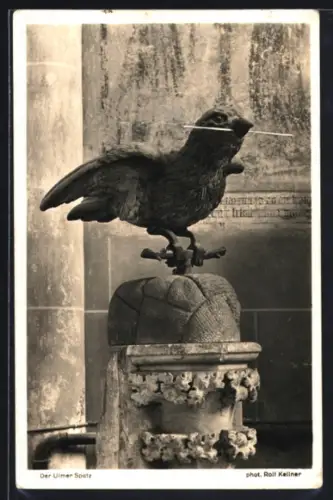 AK Ulm a. D., Der Ulmer Spatz