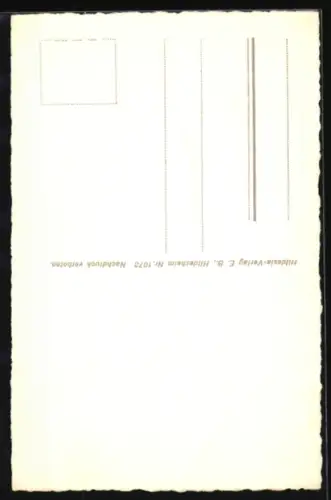 AK Hildesheim, Knochenhaueramtshaus, Rolandbrunnen