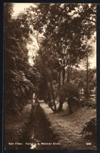 AK Bad Elster, Partie an der Weissen Elster