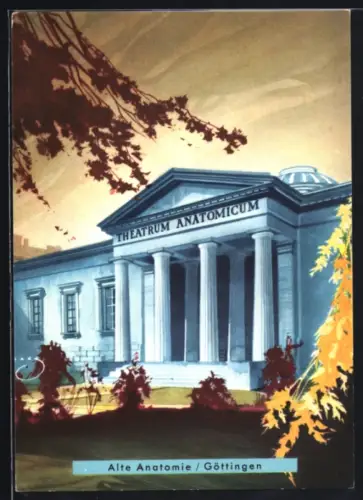 AK Göttingen, Alte Anatomie, studentische Szene