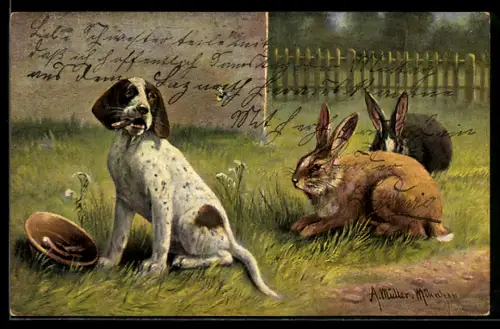Künstler-AK August Müller - München: Jagdhund am Napf und Kaninchen
