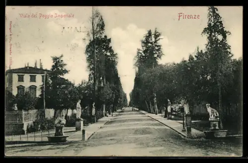 AK Firenze, Viale del Poggio Imperiale