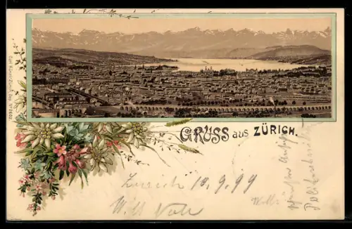 Lithographie Zürich, Ortspanorama