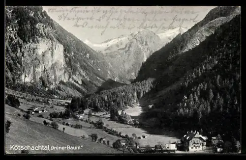 AK Bad Gastein, Kötschachtal, Gasthaus Grüner Baum und Umgebung