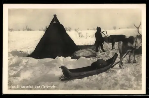 AK Norwegen, Et lappetelt paa fjeldvidden, lappisches Zelt, Rentierschlitten