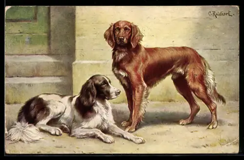 Künstler-AK C.Reichert: Zwei Hunde vor einem Gebäude