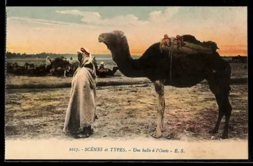 AK An der Oase, Kamele und Beduinen