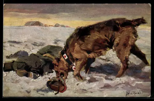 Künstler-AK Unser Sanitätshunde im Felde, der Sanitätshund hat auf dem Schneefeld einen Verwundeten gefunden