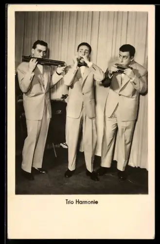 AK Musikergruppe Trio Harmonie bei einem Auftritt