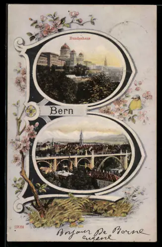 AK Bern, Buchstabe B, Bundesgebäude, Totale des Ortes, Vogel
