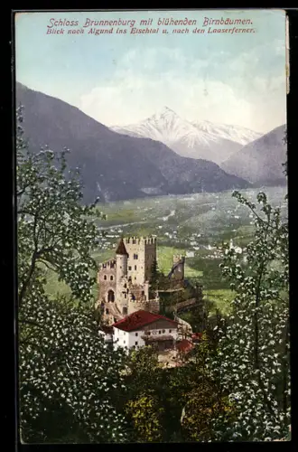 AK Dorf Tirol, Schloss Brunnenburg mit blühenden Birnbäumen, Blick nach Algund ins Eischtal