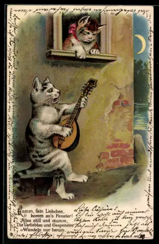 Lithographie Kater spielt Laute und singt für seine Liebste am Fenster