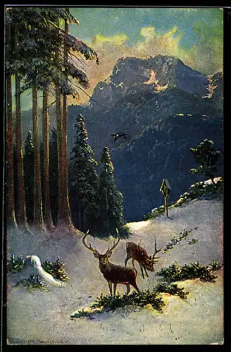 Künstler-AK M. Müller jun.: Hirsche im Winterwald