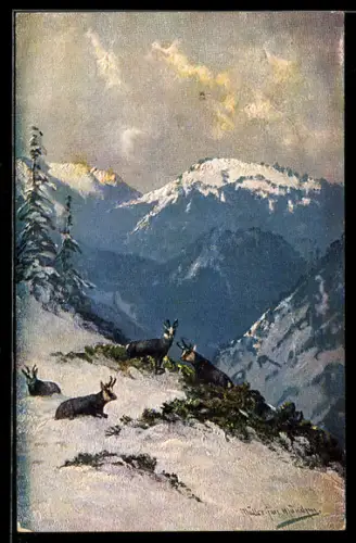 Künstler-AK M. Müller jun.: Ziegen im Hochgebirge