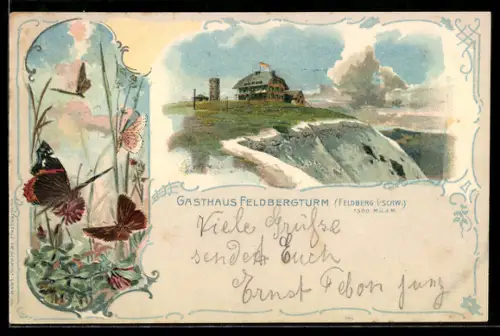 Passepartout-Lithographie Feldberg i. Schw., Gasthaus Feldbergturm, Schmetterlinge auf der Wiese